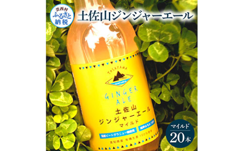 SKS054　土佐山ジンジャーエールマイルド20本セット ジンジャーエール マイルド 飲み物 セット  ギフト ドリンク  大人 ジンジャー ジュース 炭酸飲料 美味しい おいしい 贈り物 故郷納税 31000円 ふるさとのうぜい 高知県産 生姜 芸西村 返礼品 609609 - 高知県芸西村