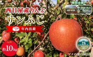 年内出荷：西目屋産りんご サンふじ 約10kg（B-1）