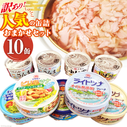 訳あり お任せ 缶詰 人気10缶セット [ミヤカン 宮城県 気仙沼市 20563805] ツナ缶 さば缶 さんま缶 いか缶 いわし缶 詰め合わせ おかず 小分け 常備 ストック 長期保存 609642 - 宮城県気仙沼市