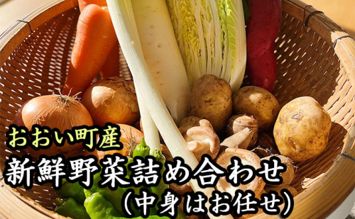 おおい町産新鮮野菜詰め合わせ 野菜セット 特産  609729 - 福井県おおい町
