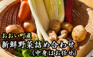 おおい町産新鮮野菜詰め合わせ 野菜セット 特産