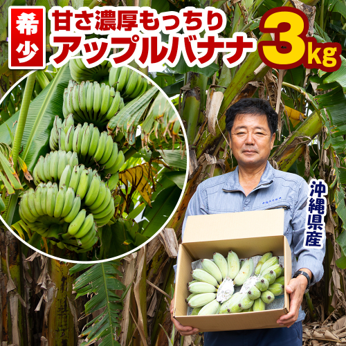 【希少】甘さ濃厚もっちりアップルバナナ3kg 609924 - 沖縄県南風原町