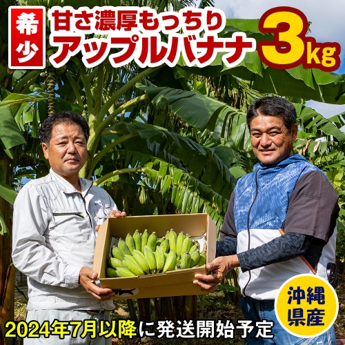 【希少】甘さ濃厚もっちりアップルバナナ3kg 609924 - 沖縄県南風原町