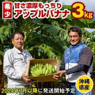 【希少】甘さ濃厚もっちりアップルバナナ3kg