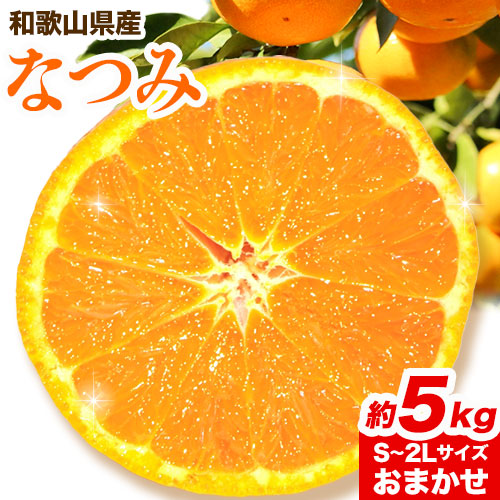 希少柑橘 和歌山産なつみ約5kg S 2lサイズおまかせ 厳選館 4月上旬 5月上旬より順次出荷 和歌山県 日高町 みかん なつみ 南津海 柑橘 果物 フルーツ 送料無料 和歌山県日高町 Au Pay ふるさと納税