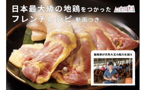 S081-017_【体験動画セット】日本最大級の地鶏「天草大王」骨付きもも肉 （メス）4本