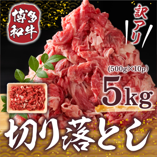 訳あり 博多和牛 切り落とし 500g×10p 計5kg [MEAT PLUS 福岡県 宇美町 um40azp010023] 牛肉 切落し 肉 肩肉 バラ肉 和牛 610218 - 福岡県宇美町
