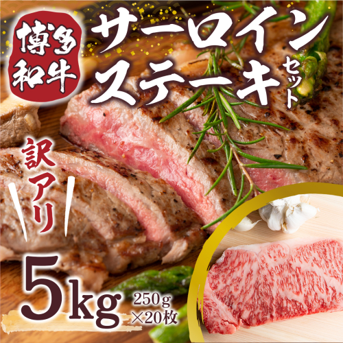 訳あり 博多和牛 サーロイン ステーキ 250g×20枚 計5kg [MEAT PLUS 福岡県 宇美町 um40azp010024] セット 牛肉 サーロインステーキ 肉 和牛 610219 - 福岡県宇美町