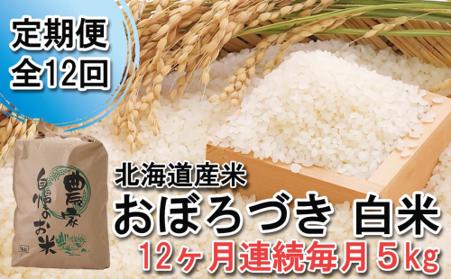 ＜ 定期便 12回 ＞ 北海道産 希少米 おぼろづき 白米 5kg 毎月12回 610313 - 北海道新ひだか町