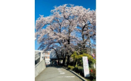 [先行予約]令和8年2月16〜令和8年3月23日人間ドック・脳MRI検査・ABI・胸部CT検査 1名様(日帰り)大月市立中央病院