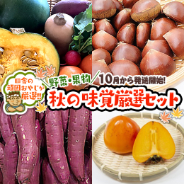 秋は『食欲の秋』って言うくらい美味しい食べ物に溢れてます。 果物は、柿、梨、りんご、ぶどう、いちじく…etc 野菜は、キノコ、かぼちゃ、さつまいも、栗…etc 贅沢に果物と野菜を堪能してください！心を