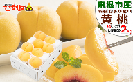黄桃 (品種おまかせ) 2kg (5～9玉) 東根農産センター提供　N-2371