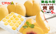 黄桃 (品種おまかせ) 5kg (12～20玉) 東根農産センター提供　N-2373