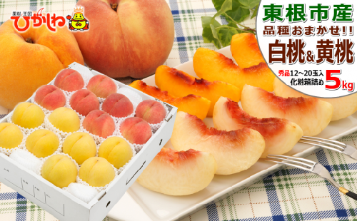 白桃&黄桃 詰め合わせ (品種おまかせ) 5kg (12~20玉) 東根農産センター提供 N-2376 611376 - 山形県東根市