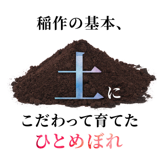 年末企画〈2023年2月から発送〉〈定期便〉ひとめぼれ 白米 10kg(5kg×2 ...