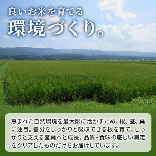 年末企画〈2023年2月から発送〉〈定期便〉ひとめぼれ 白米 10kg(5kg×2 ...
