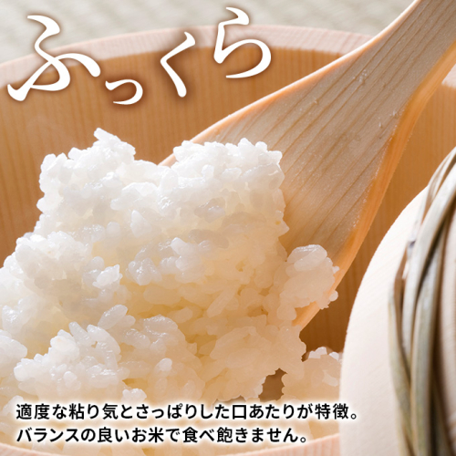 年末企画〈2023年2月から発送〉〈定期便〉ひとめぼれ 白米 10kg(5kg×2 ...