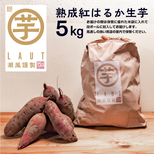 【先行予約】干し芋屋のさつまいも 熟成 紅はるか 生芋 5kg 無添加 無着色 茨城県産 サツマイモ 土付き 芋 さつまいも さつま芋 薩摩芋 紅遥 べにはるか 612216 - 茨城県大洗町