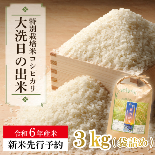 【先行予約】【新米】米 3kg 低農薬米 大洗 日の出米 コシヒカリ 令和6年産 特別栽培米 コメ こめ 送料無料 612568 - 茨城県大洗町