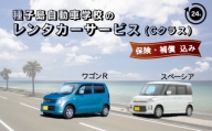 種子島 自動車学校 レンタカー (Cクラス) サービス 24時間分 レンタル　NFN461【400pt】