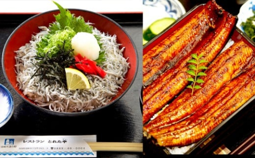 しらす干し 3袋 うなぎ蒲焼き 3尾 食べ比べ セット 612893 - 高知県須崎市