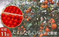 [№5850-1075]モリヒロ園芸が育てたじょんならんトマトの定期便（年間11回）