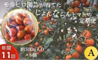 [№5850-1076]モリヒロ園芸が育てたじょんならんトマトの定期便A　約300g×6個入り（年間11回）