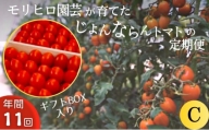 [№5850-1078]モリヒロ園芸が育てたじょんならんトマトの定期便C　ギフトボックス入り（年間11回）