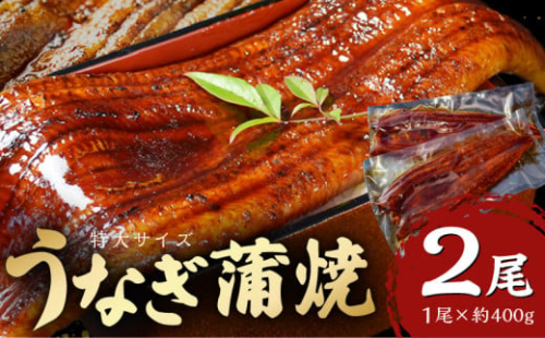 特大うなぎ蒲焼約400g×2尾_特大 うなぎ 蒲焼 無頭 約 400g 2尾 秘伝のタレ グルメ 食品 加工品 魚 魚介類 おかず 惣菜 ご飯のお供 酒の肴 うな丼 ひつまぶし お茶漬け 鰻巻き 冷凍 パック 太輔商事 福岡県 久留米市 お取り寄せ お取り寄せグルメ 送料無料_Cu027