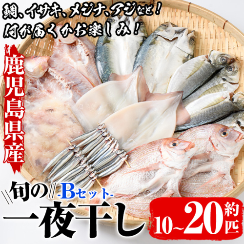数量限定！阿久根市産の旬の一夜干しグルメ＜B＞セット(鯛・アジ・イカ・サバなど)国産 鮮魚 詰め合わせ お楽しみ 海の幸 魚介類 干物 海鮮【さるがく水産】akn028-18 613531 - 鹿児島県阿久根市
