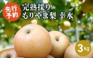 完熟採り　もりやま梨（幸水）3キロ 【8月お届け】