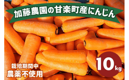 産地直送！加藤農園の甘楽町産にんじん 10kg [0133] 614023 - 群馬県甘楽町