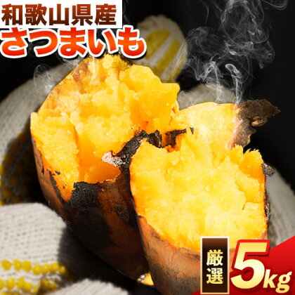和歌山県のサツマイモ 在来種 厳選サイズ 5kg みはらファーム 《12月中旬‐5月上旬頃出荷》 和歌山県 日高川町 みはらファーム さつま芋 薩摩芋 614043 - 和歌山県日高川町