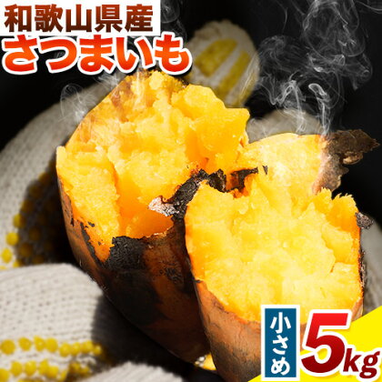 和歌山県のサツマイモ 在来種 小さめサイズ 5kg みはらファーム《12月中旬‐5月上旬頃出荷》和歌山県 日高川町 みはらファーム さつま芋 薩摩芋 614047 - 和歌山県日高川町