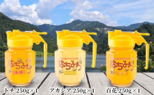 秋田県産はちみつ(アカシア、トチ、百花)250g×各1 化粧箱入り 614128 - 秋田県仙北市