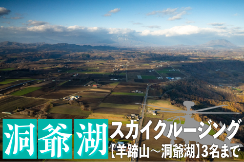 2025洞爺湖スカイクルージング約20分【羊蹄山～洞爺湖】3名様まで 体験チケット ヘリコプター 空中散歩 自然 満喫 遊覧飛行 思い出 景色 北海道の自然  614609 - 北海道洞爺湖町