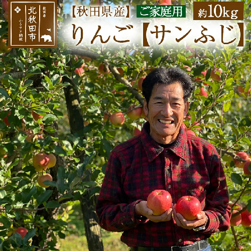 秋田県産 サンふじ りんご 約10kg （ご家庭用）リンゴ【12月中旬～2月中旬に順次発送】 614615 - 秋田県北秋田市