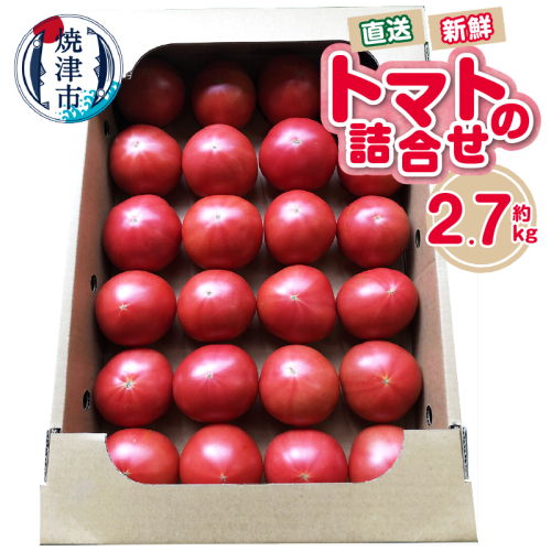 a11-120　トマト　詰合せ　約2.7kg　農園　直送　新鮮　農家 61473 - 静岡県焼津市