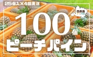 【2023年発送】『西表島ナウパカ』の完熟ピーチパイン 100個！！！☆栽培期間中除草剤不使用☆