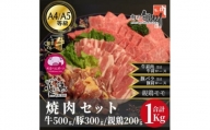 おやべのお肉焼肉セット1kg(和牛カルビ500g・豚300g・親鶏200g)【1291450】