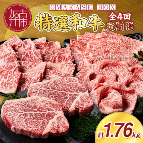 OMAKASE BOX 肉のまち加古川 プリンセス和牛定期便(全4回)《 肉 定期便 牛肉 ステーキ しゃぶしゃぶ すき焼き用 焼肉 おすすめ 贈答 プレゼント 》【2407A11504】 614962 - 兵庫県加古川市