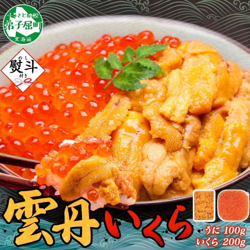 【年内配送 12月14日まで受付】3595.  無地熨斗 うに 100g いくら醤油漬け 200g ウニ チリ産 冷凍 いくら 二色丼 雲丹 イクラ 海鮮 海鮮丼 うに丼 いくら丼 いくら醤油漬け のし 名入れ不可 送料無料 北海道 弟子屈町 614964 - 北海道弟子屈町