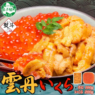 【年内配送 12月14日まで受付】3595.  無地熨斗 うに 100g いくら醤油漬け 200g ウニ チリ産 冷凍 いくら 二色丼 雲丹 イクラ 海鮮 海鮮丼 うに丼 いくら丼 いくら醤油漬け のし 名入れ不可 送料無料 北海道 弟子屈町