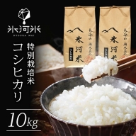 SB0397　令和5年産【精米】特別栽培米 コシヒカリ　10kg(5kg×2袋)　農家直送『氷河米』 AG