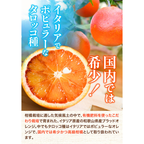 希少・高級柑橘】国産濃厚ブラッドオレンジ「タロッコ種」約3kg 厳選館