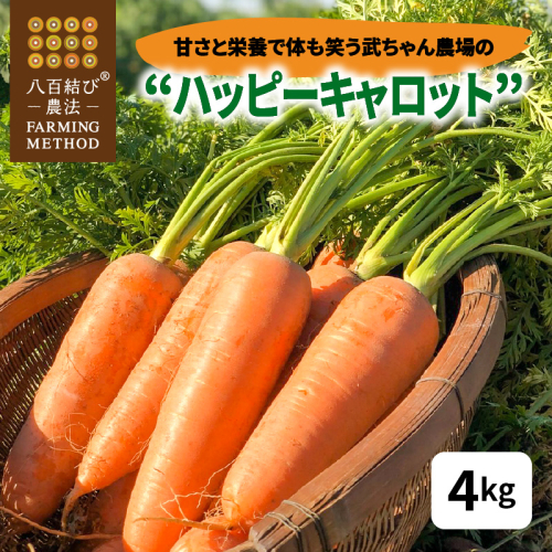 甘さと栄養で体も笑う武ちゃん農場の“ハッピーキャロット 4kg H095-021 61545 - 愛知県碧南市