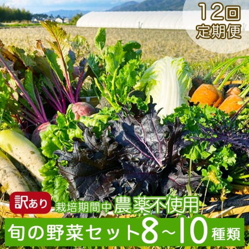 【12回定期便】かたもとオーガニックファームの農業研修生が無農薬・自然栽培で育てたお野菜セット 8～10品目 ｜ 産地直送 朝採れ 新鮮 京野菜 京都府 亀岡産 615792 - 京都府亀岡市