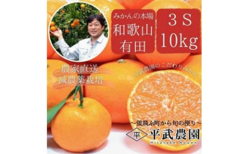 蛍飛ぶ町から旬の便り　有田みかん（10kg 3Sサイズ(超小玉)）　平武農園　農家直送 615856 - 和歌山県有田川町