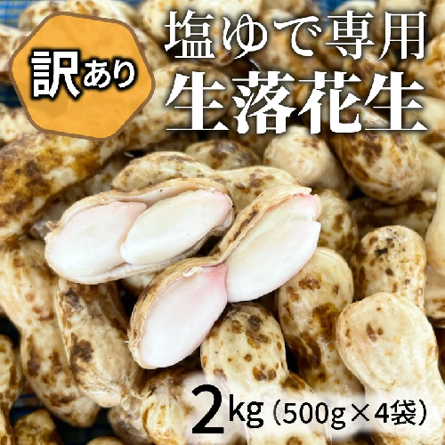 【2026年発送】事前予約 訳あり やみつき極うま “金の生落花生” 塩ゆで専用 2kg(500g×4袋）　H105-144 615907 - 愛知県碧南市