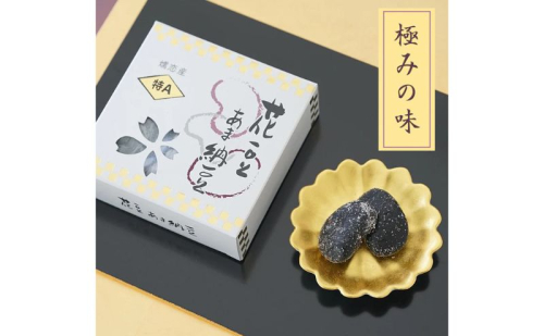 花豆 特Aあま納豆 4個セット お菓子 和菓子 和スイーツ おやつ お茶うけ 特Aサイズ 希少豆 豆菓子  615911 - 群馬県東吾妻町